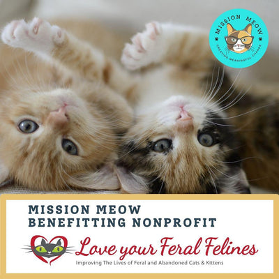 Mission Meow: Easter Promo with a Purr-pose – Love Your Feral Felines in San Diego, CA