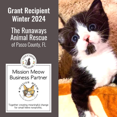 Mission Meow: The Runaways Animal Rescue