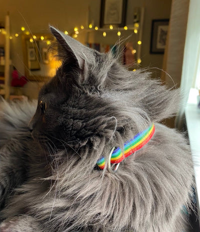 Kindness & Respect For All: A Message About Pride