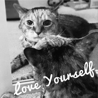 How We Love Our Cats is Important to Our Self-Care