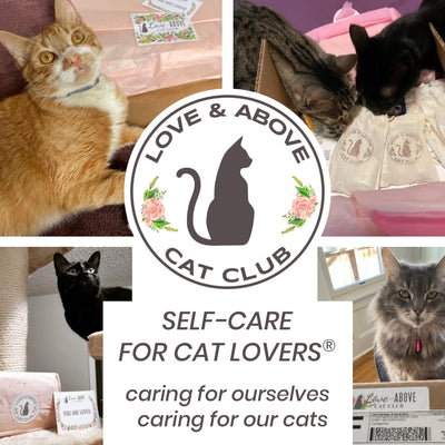 Our 2nd Anniversary: Love and Above Cat Club Turns Two!