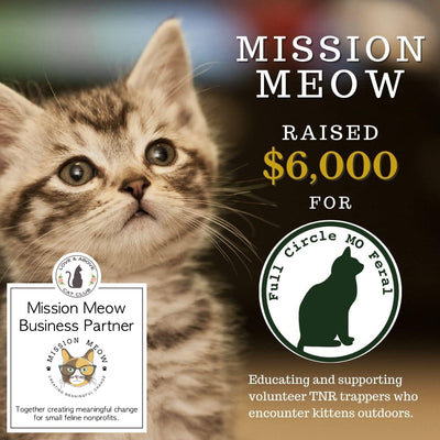Mission Meow: Teamwork Makes the Dream Work in Missouri