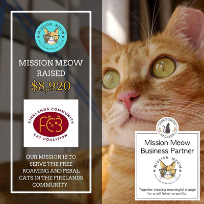 Mission Meow: Exciting Before & After Pics from FC3 in Ohio
