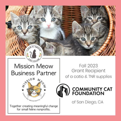 Mission Meow: San Diego Community Cats