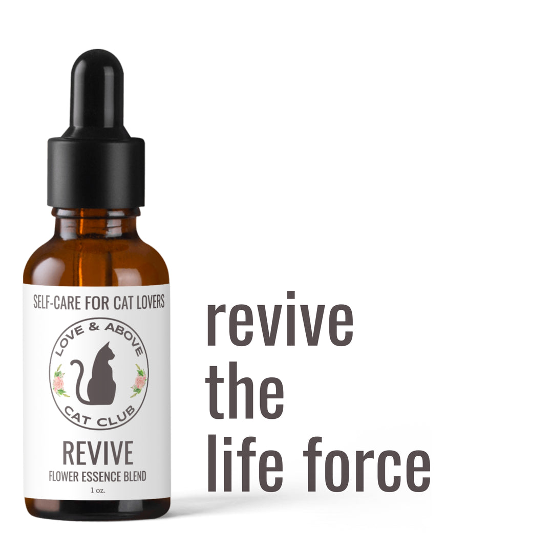 Flower Essence Blends