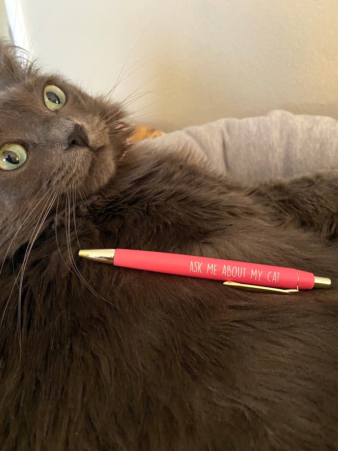 Pen Set for Cat Lovers – Love and Above Cat Club